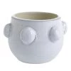 Accent Decor Fem Rosa Pots
