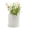 Chive Inc Vases + Pots + Planters Big Virago Pot-A Clay