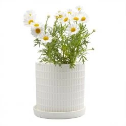 Chive Inc Vases + Pots + Planters Big Virago Pot-A Clay