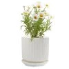 Chive Inc Big Virago Pot-C Clay Vases + Pots + Planters