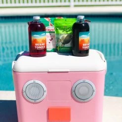 Sunnylife Outdoor + Summer Picks Cooler Box Sounds Pink