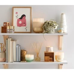 Illume Candles + Diffusers Coconut Milk Mango Diffuser