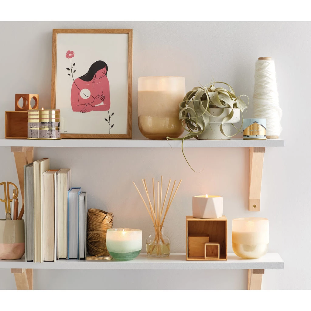 Illume Candles + Diffusers Coconut Milk Mango Diffuser