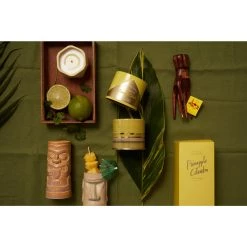 Illume Pineapple Cilantro Diffuser Candles + Diffusers