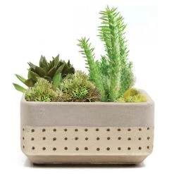 Chive Inc Vases + Pots + Planters Meraki Dish